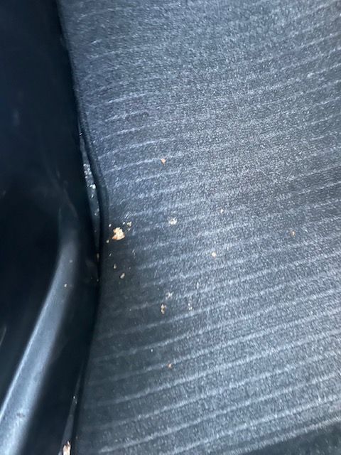 シート座面に残る付着物