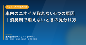 車内のニオイが取れない5つの原因と発生源の見分け方